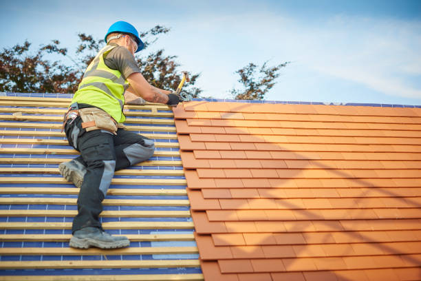 Best Skylight Installation and Repair  in Mcgregor, FL